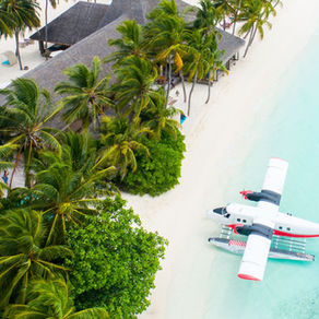 5 Essentials Successful People Commit To